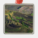 Suche nach getreide ornamente Landschaft
