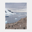 Suche nach penguin decken Natur
