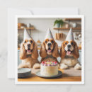 Suche nach englisch cocker spaniel postkarten Geburtstag