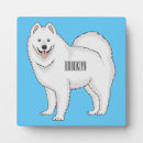 Suche nach samoyed Jede person