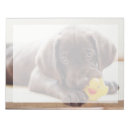 Suche nach labrador notizblock Retriever