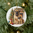 Suche nach doggen alle ornamente Für alle