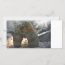 Suche nach tier horizontale fotokarten Jede person