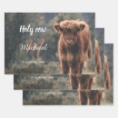 Suche nach kälber geschenkpapier Für alle