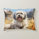 Suche nach hundezucht kissen Hundezüchter