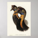 Suche nach cassowary poster Tier