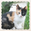 Suche nach parodien untersetzer Katze