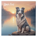 Suche nach border collie fliesen Hunde