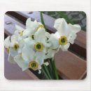 Suche nach banker mousepads Park