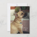 Suche nach rettungshund karten Für alle