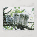 Suche nach hokkaido postkarten Selektiver fokus