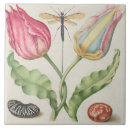Suche nach vintage insekten fliesen Blumenreich