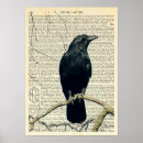 Suche nach gothic raven poster Rabe