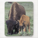Suche nach yellowstone nationalpark mousepads Bison