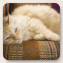 Suche nach couch untersetzer Haustiere