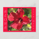 Suche nach hibiskus blume postkarten Hawaii