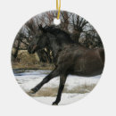 Suche nach mustang ornamente Foto
