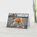 Suche nach boxer hunde karten Boxhund