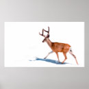 Suche nach white background poster Nature