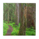 Suche nach panorama fliesen Landschaft