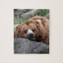 Suche nach braunbär puzzle Wild lebende tiere