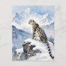 Suche nach schneeleopard postkarten Großkatzen
