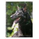 Suche nach deutscher schäferhund kleine notizbücher Elsässisch