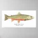 Suche nach trout poster Forelle