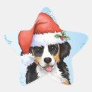 Suche nach bern aufkleber Bernese gebirgshund