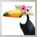 Suche nach toucans poster Blume