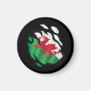 Suche nach wales flagge magnete Land