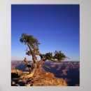 Suche nach geologischer poster Usa
