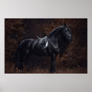 Suche nach friesian poster Portrait