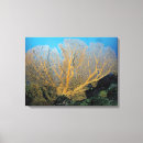 Suche nach insekten leinwandbilder Natur