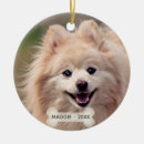 Suche nach pomeranian ornamente Süß