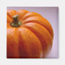 Suche nach halloween kürbis magnete Natur