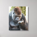 Suche nach gorilla leinwandbilder Niedlich