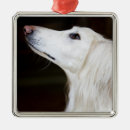 Suche nach inländisch ornamente Hunde