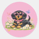 Suche nach dachshund aufkleber Doxie