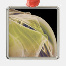 Suche nach schulter ornamente Kleinbetrieb