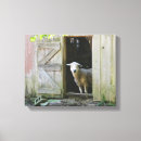 Suche nach niedliche schafe leinwandbilder Lamm