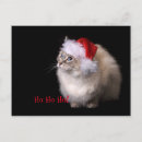 Suche nach christmas photo postkarten Black