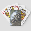 Suche nach waschbär spielkarten Procyon lotor