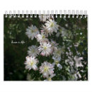 Suche nach weiße blumen kalender Jede person