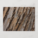 Suche nach baumrinde postkarten Holz