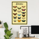 Suche nach eleganter schmetterling poster Jede person