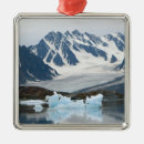 Suche nach kalt ornamente Arktisch