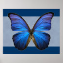 Suche nach herrlicher schmetterling Blau