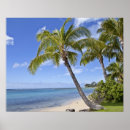 Suche nach palmen und strand poster Himmel