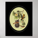 Suche nach audubon poster Natur